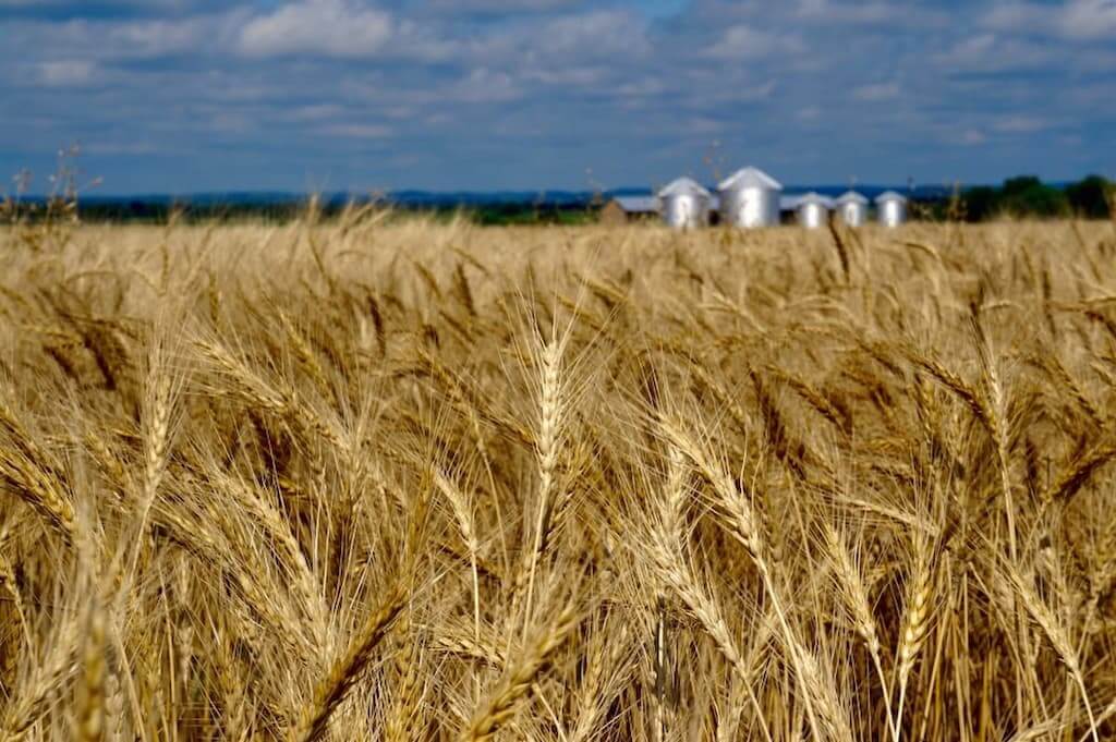 Silos em propriedade